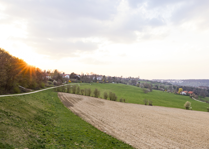 Es ist der Panoramaweg Ostfildern abgebildet. Dieser verläuft links vom Bild. Rechts befindet sich eine Wiese und ein Acker. Im Hintergrund ist der Sonnenuntergang zu erkennen. 
