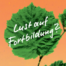 Fortbildungsprogramm